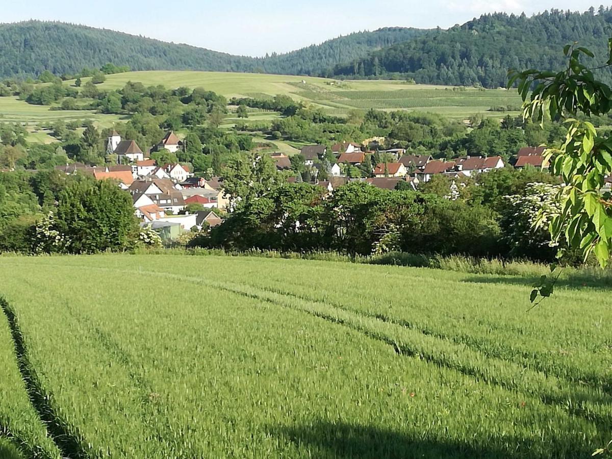 Galerie Ueber Den Gaerten Herbolzheim Kültér fotó