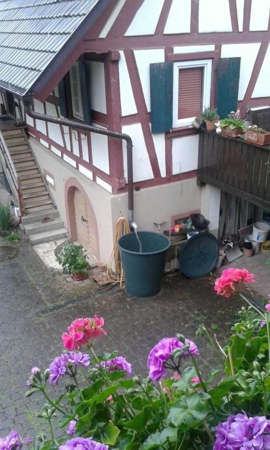 Galerie Ueber Den Gaerten Herbolzheim Kültér fotó
