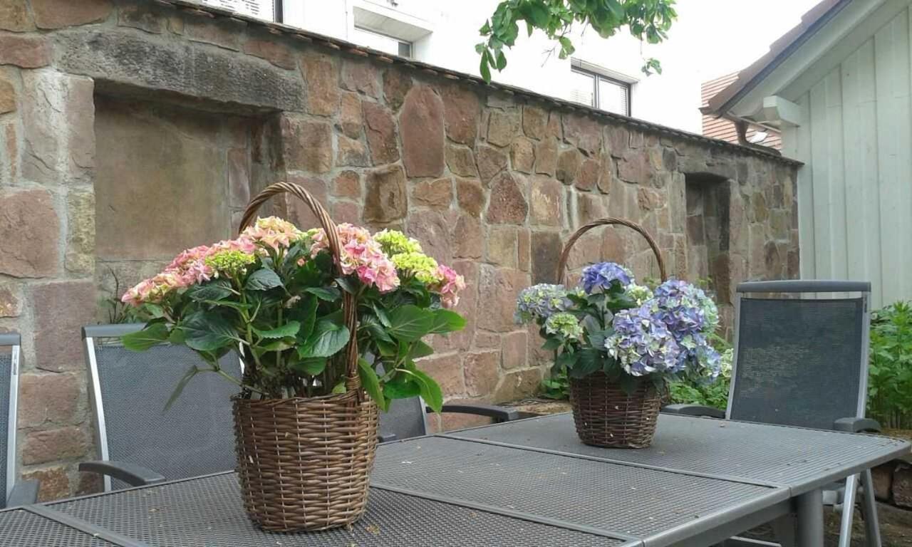 Galerie Ueber Den Gaerten Herbolzheim Kültér fotó